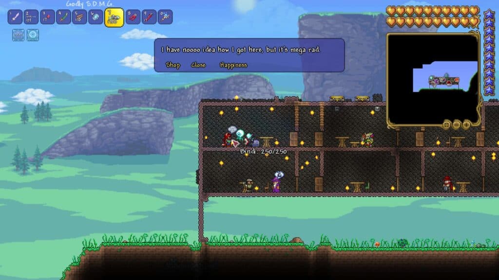 Terraria Zoologist Guide Indie Game Culture