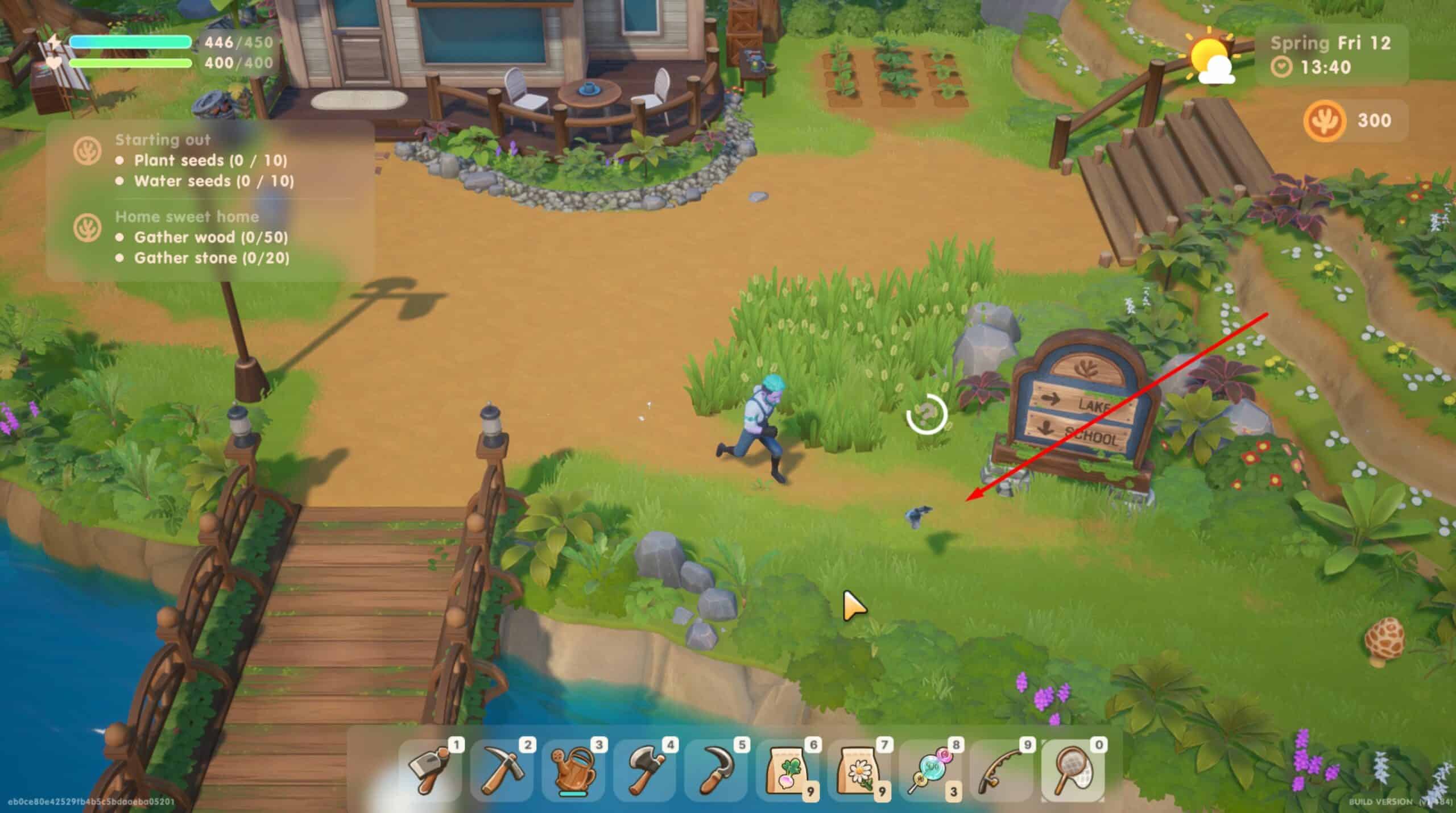 coral island Woodlands Bug Spawns